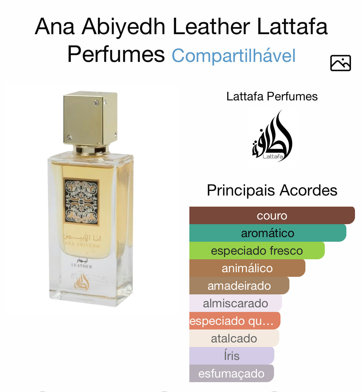 Ana Abiyedh Leather Lattafa
